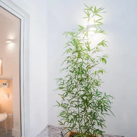 Apartament Wood & Garden